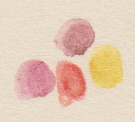Palette de couleurs, Kilian Horn, 2026